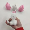 Påskfest Squeeze Toy For Kids Pink White Rabbit Children Stress ångest Relief Spit Bubbles Squeeze Toys Spring Birthday Favor1043063