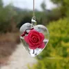 Vasi Luda a forma di cuore a forma di vetro appeso vaso bottiglia di terrarione contenitore pianta tavolo fiore decorazione del giardino