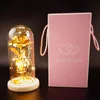 Romantiek Eternal Life Flower Glass Cover Beauty and Beast Rose Led Battery Lamp Verjaardag Valentijnsdag Huidige Moeder Geschenken F23