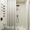 Pas dans le trou romain Rideau de douche Salle de bain Baignoire Partition Qualité imperméable à l'eau Tissu anti-moisissure Épaissir Rideaux Décor à la maison 210402