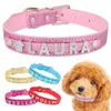 Spersonalizowany Collar Leather Rhinestone Bling Charms Niestandardowy Nazwa Kota Pet