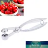 1Pc Stainless Steel Handheld Fruit Olive Core Seed Core Remover Fruits Tools Gadget Kitchen Accessories Factory price expert design Quality Latest