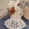 Pet Dresses White Lace Vests Pearl Bow Pets Skirt Dog Apparel Wedding Party Style Dogs Leashes Clothing