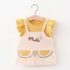 Baby Girls Striped Dresses Fashion Kids Party Broderi Klänning Toddler Suspender Ruffles Kläder Blommor Suits 210429