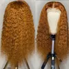 Long Kinky Curly Human Hair Wig Ombre Brown Color Synthetic Lace Front Wigs for African American Women