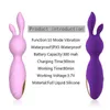 Nxy Sex Eggs Nieuwe Ontwerp G-spot Rabbit Vibrator Met Bunny Oren Voor Clitoris Stimulatie Kleine Toy Vrouwen 1215