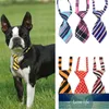 Pet Bow Tie Moda Cat Neck Regulowany Kotek Wydrukowano Dog Puppy Collar Grooming Dostawa Losowa Kolor Odzież Cena Fabryczna Ekspert Projekt Jakość Najnowszy styl