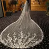 3M Long Wedding Veils Full Lace Applique Edge One Layer Cathedral Length Veils With Comb Tulle Bridal Hair Accessories