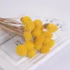 15 teile/los Bunte Natürliche Getrocknete Blumenstrauß Erdbeeren DIY Handgemachte Handwerk Künstliche Festival Home Decor Requisiten Dekorative Blumen