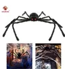 Parti Cadılar Bayramı Dekorasyon için 55% Off Kiralık Siyah Örümcek Perili Ev Prop Kapalı Açık Dev 3 Boyutu 30 cm 50 cm 75 cm 20 adet