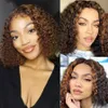 Markerad Färg Kinky Curly Brazilian Lace Front Wig Ombre Brown Short Bob Synthetiska Paryker Med Barnhår För Kvinnor