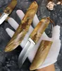 High-End-Damast-Survival-Messer, gerades Messer, 75 Lagen VG10-Damaststahl, Drop-Point-Klinge, Schattenholzgriff mit Holzscheide