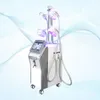 Professional 5 ручки Cryolipo потери жира холодного охлаждения Технология Cryolipolysis Машина корпуса Криотерапия Slim Cyro Животное устройство для продажи