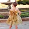 2021 Bordado 3 2 1 año Vestido de cumpleaños para niña Ropa Golden Bow Princess Vestidos Vestido de bautismo Vestidos infantiles Flor G1129