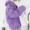 Chaqueta de invierno de algodón Colorfur, Parka para mujer, abrigo acolchado cálido, prendas de vestir holgadas con cuello levantado 210531