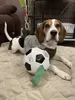 Pet Oyuncaklar Köpek-Şapkalı Oyuncak Açık Çok Fonksiyonlu İnteraktif Halat Eğitim Topu