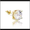 6mm Yuvarlak Zircon 925 Sterling Sier Stud Hip Hop Altın Renk Küpeleri 3B1SP RDNKV