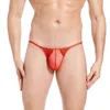 Underbyxor män mesh kort bulge påse thong låg midja sexig underkläder ubulge andningsbara män039s underkläder cueca knicker man pant6333064