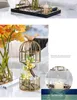 Luxe woning decor accessoires kunst vaas bloem vazen ​​ornamenten gouden metalen vogelkooi vorm planten houder glazen container1 fabriek prijs expert ontwerpkwaliteit