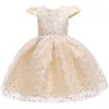 Baby Girl Dress For Baby Party Princess Dress Infant Wedding Dresses For Christening First 1 Year Birthday Dress Newborn Costume G1129