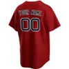 Honkbalshirts 18 Mitch Moreland 39 Marcus Wilson 9 Ted Williams 10 Ron Roenicke 3 Jose Peraza 49 Tim Wakefield