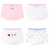 2st Girls Underwear Boxer Purple Blue White Cotton Stretchy Kids Panties Underpanties 2 till 12 Years Clothes Ogu213211