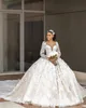 Princess Ball Gown Wedding Dresses V Neck 3D Appliques Hand Made Flower Feather Long Sleeve Bridal Gowns Puffy Illusion Bride Dress