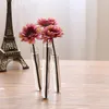 Wazony szklane wazon 20 cm małe świeże 3 jasna rurka testowa połączona kwiat biurowy wystrój
