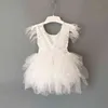Princess baby feather dress 1st birthday party toddler girls lace flying sleeve summer dress kids tutu clothing with sashes G1129