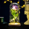 Rose dure éternellement avec des lumières LED dans un dôme en verre Saint Valentin anniversaire de mariage cadeaux d'anniversaire décoration de fête 5 couleurs RRF11650