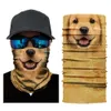 Cão bonito cão animal gato leão pescoço aquecedor tube scarf face protetor de face headband snowboard bicicleta headwear acessórios