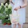 newMesh Handbag Cartoon Portable Beach Bag Printing Fresh Transparent Storage Bags Organizer Easy-to-swim Outdoor Sack Large Size EWC7484