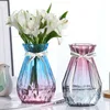 Creative transparent European color home glass green dill hydroponic rich bamboo dried flower vase 210409