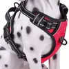 Collari per cani Guinzagli Morbida imbracatura regolabile Riflettente Pet Large Walk Out Vest Collar Hand Strap per cani di taglia piccola e media