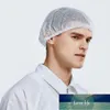 Utensili da cucina Tappo in rete Retina per capelli Polvere Donne Officina Lavoro Maschio Produttore di alimenti Cuoco Antipolvere Cucina Ventilazione Chef