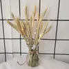 100ピース自然植物の小麦耳の花の花束の居間の装飾ショッピングショッピングモールの花の配置窓陳mei