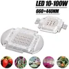 Puce LED COB 10W 20W 30W 50W 100W, puces de culture, perles lumineuses rouge bleu, 620nm/455nm, pour culture hydroponique de plantes d'intérieur