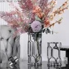 Vases nordique argent Vase lumière luxe métal Transparent verre ornements salon Arrangement de fleurs dispositif hydroponique