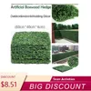 boxwood privacy fence