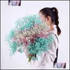 Decorative Flowers & Wreaths Festive Party Supplies Home Garden Natural Fresh Dried Preserved Gypsophila Panicata,Babys Breath Flower Bouque