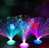 Fournitures de fête 3 Styles Festival Fibre Optique LED Lumières Bâtons Réglable Lampe Décorative Lumière Jouet Lumineux