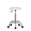 Hydraulic Adjustable Salon Stool Swivel Rolling Tattoo Chair SPA Massage Commercial Furniture sea shipping DAT314