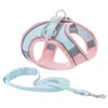 Gato Harness Leashhes e colete Conjunto de corda de tração andando Easy Control Noite Seguro animal de estimação Arnês com alça reflexiva Pequena grande gatinho cachorrinho HH21-334