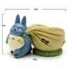 Żywica Hayao Miyazaki Totoro Figurki Sukulety Doniczka Ornament Wróżki Miniatury Doniczkowe Ogród Moss Gnome Decoration Crafts 211108