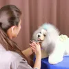 猫のアクセサリー犬の専門のグルーミングキット直接薄くて湾曲したペットの髪はさみ