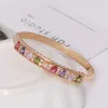 Mxgxfam 2019 nouveaux bracelets et bracelets en Zircon colorés pour femmes 18 cm bijoux de couleur or à la mode Q0717
