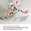 185cm Artificial Magnolia Silk Fake Flower High Quality Orchid Wall Tree Branches Rattan s Vine Wedding Decoration 210831