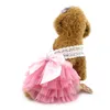 Vêtements pour chiens 2021 petit chat princesse Tutu robe jupes de fête avec nœud vêtements plissés pour animaux de compagnie licou jupe formelle