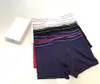 Men Boxers Underpants Cotton Underpant luxury Classic Rainbow Underwears Comfortable Breathable High quality with box