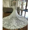 Lace Mermaid Wedding Dresses Lace Applique V Neck Long Sleeves Long Train Beach Bridal Gown
